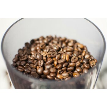 Haiti Caffe Azeglio Bohne 1 kg